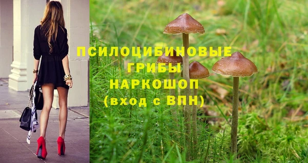 сатива Киреевск