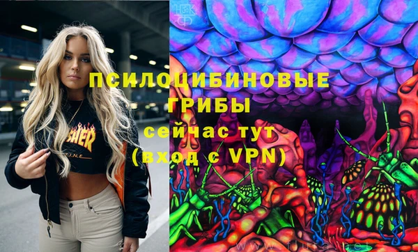 таблы Козловка
