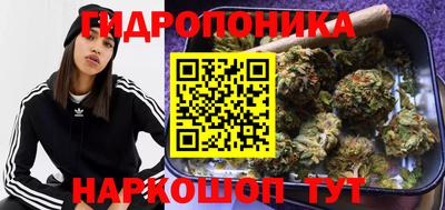 прущие крисы Комсомольск-на-Амуре
