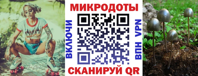 Галлюциногенные грибы Magic Shrooms  Новотроицк 