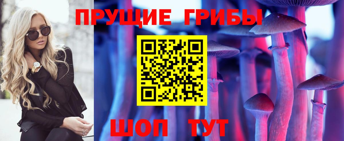 Псилоцибиновые грибы Psilocybine cubensis Новотроицк