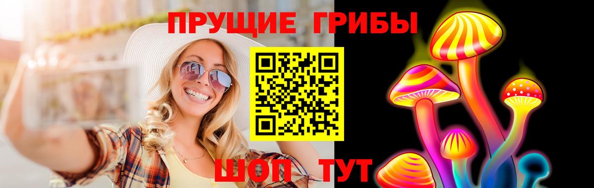 Псилоцибиновые грибы GOLDEN TEACHER  Вход с VPN  Галлюциногенные грибы мицелий  Новотроицк 